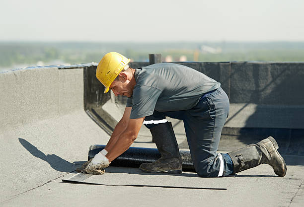 Best Spray Foam Insulation in Oak Park Heights, MN